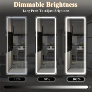 MAYEERTY 63"x20" LED Full Length Mirror, Aluminium Alloy Floor Mirror without Frame, Sliver